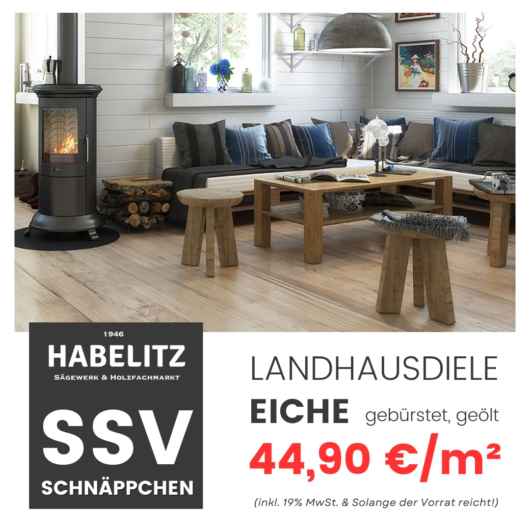 2024-09-habelitz-ssv-webseite.jpg